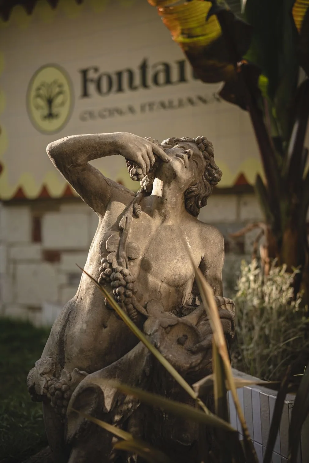 Fontanella · Photo 01